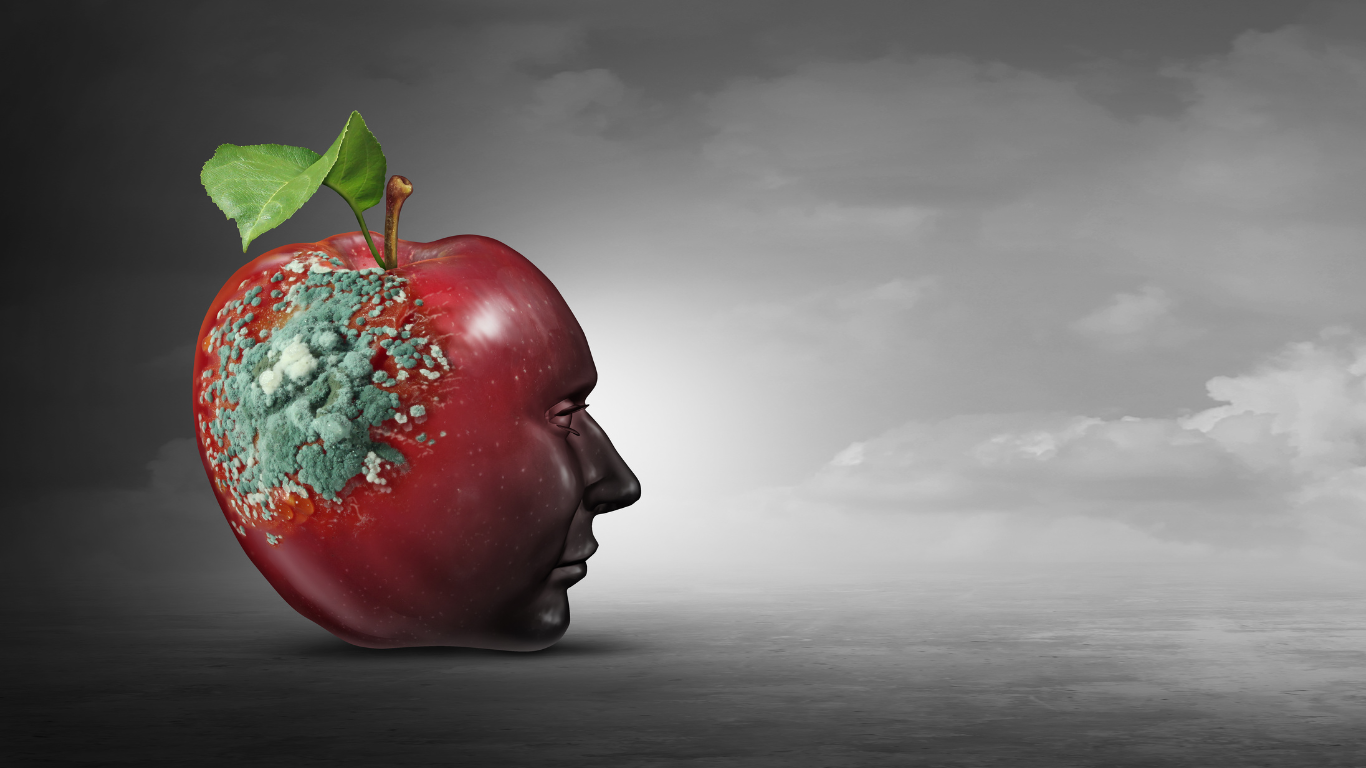 brain rot